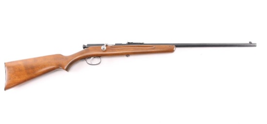 Springfield Meteor .22 S/L/LR NVSN