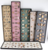Lot of 6 Framed Points