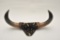 185EMY-25 MOUNTED BISON HORNS