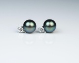 18CAI-12 BLACK PEARL EARRINGS