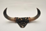 185EMY-25 MOUNTED BISON HORNS