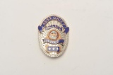 18DC-136 ASST. CHIEF BADGE