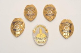 18DC-142 BADGE LOT