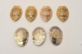 18DC-145 BADGE LOT