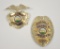 18PL-9 BADGE LOT