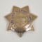 18PL-5 ARIZONA HIGHWAY PATROL BADGE