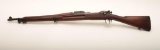 19EZ-509 SPRINGFIELD 1903 #662193