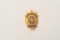 18DC-21 POLICE CAPT. BADGE