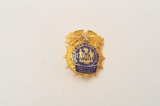 18DC-11 DEPUTY CHIEF BADGE