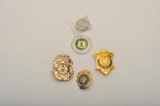 18DC-76F BADGES