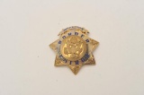 18DC-151 INSP. BADGE