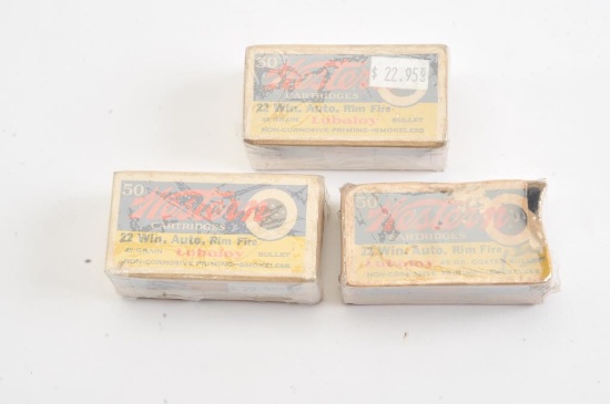 19PA-4 2 FULL BOXES OF AMMO