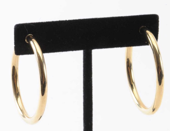 19RPS-25 PAIR OF CARLA DESIGN HOOP EARRINGS