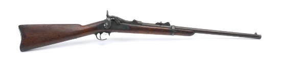 19SA-12 SPRINGFIELD MDL 1884 TRAPDOOR