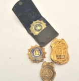 18DC-22J BADGES