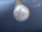 20IU-8 CARVED & SILVER MTD WALKING STICK