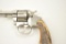 20IT-4 COLT POLICE POSITIVE