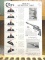 20JB-15 LARGE COLT POSTER