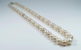 20CAI-34 LOVELY STRAND OF PEARLS