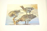 20HI-106 LOT OF 32 DUCK PRINTS W/STAMPS
