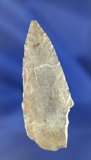 2 7/16" Upper Section of a Paleo Fluted Clovis that still shows the original flute, Trigg Co., KY.