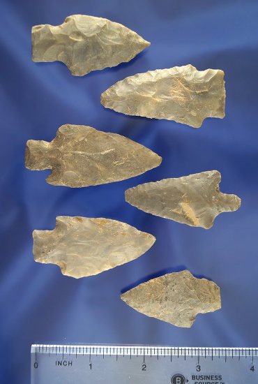 Set of 6 Assorted Flint Arrowheads found in Kentucky. Largest is 2 3/16".