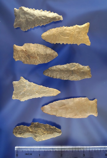 Set of 7 assorted Flint Arrowheads found in Trigg County Kentucky. Largest is 2 1/2".