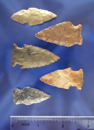 Set of 5 assorted Arrowheads found in Trigg County Kentucky. Largest is 1 7/8".