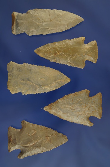 Set of 5 Assorted Arrowheads , largest is 2 1/8". Found in Trigg Co., Kentucky.Ex. Staples Collectio