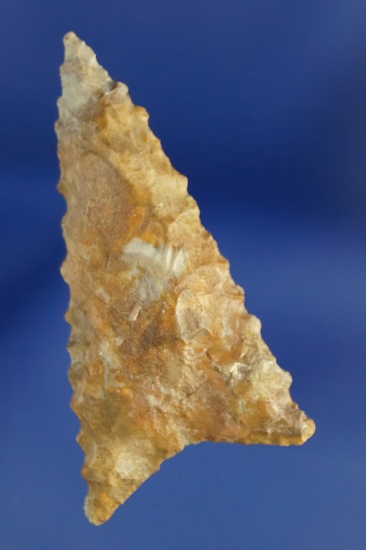 1 5/8" Serrated Triangle found in Virginia.