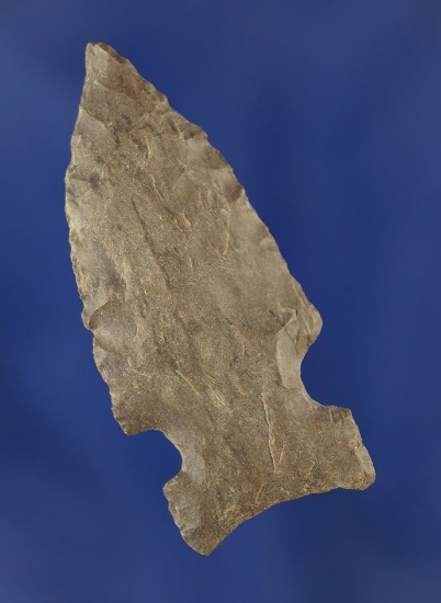 1 7/8" Archaic Sidenotch found in Trigg Co., Kentucky.Ex. Staples Collection.