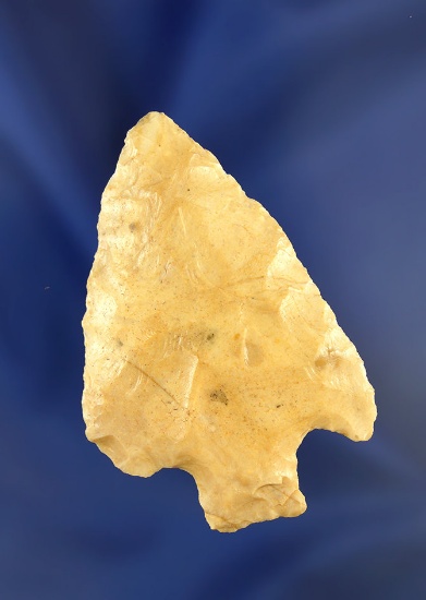 2 1/2" Arrowhead found in Florida.