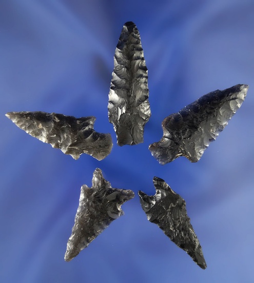 Set of 5 nice obsidian arrowheads found in Oregon, largest is 1 7/8". Ex. Gordon Erspamer collection