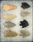 Set of 8 assorted Arrowheads found in Ohio, largest is 2