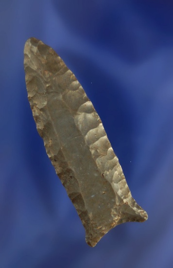 2 7/8" Paleo Cumberland made from Ft. Payne Chert, found in Trigg Co., Kentucky. Bennett COA.