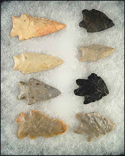 Set of 8 assorted Arrowheads found in Ohio, largest is 2".