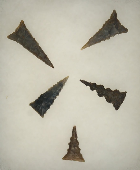 Set of 5 Fort Ancient Triangles found in Southern Ohio, largest is 1 7/16".