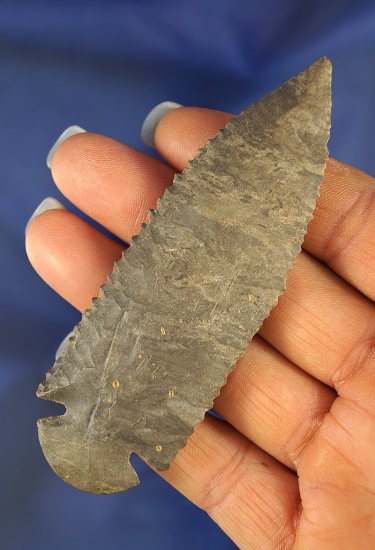 3 7/8" Dover Flint Dovetail with very nice edge serrations, found in Trigg Co., Kentucky.