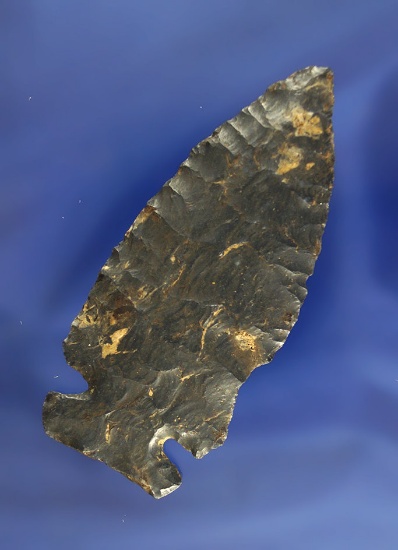 3 3/16" Coshocton Flint Sidenotch that is thin and well flaked, found in Ohio.