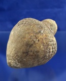 Sale Highlight! 10th Century Byzantine Ceramic Grenade that is 5 1/2