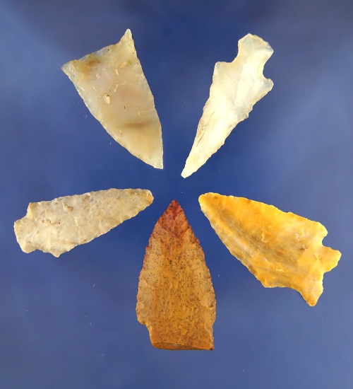 Set of 5 Assorted Columbia River Arrowheads - largest is 1 1/16", found near the Columbia River.