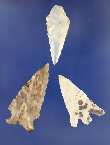 Set of 3 Arrowheads - largest is 1 7/16", found near the Columbia River. Ex. Bill Peterson Collectio