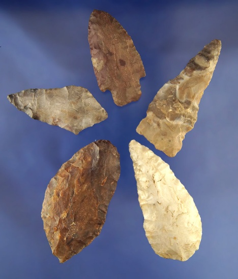 Set of 5 Flint Knives - largest is 2 1/2", found near the Columbia River. Ex. Bill Peterson Collecti