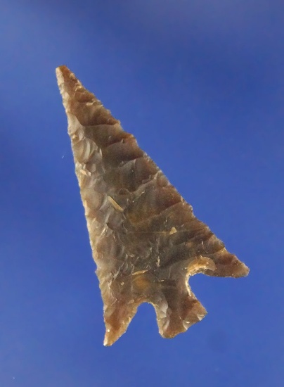 1 1/4" Columbia Plateau made from brown agate. Found near the mouth of the John Day River.