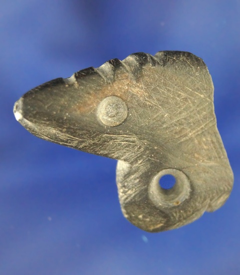1 1/4" Animal Effigy Pendant Fragment found near Wakemap Mound, Columbia River.