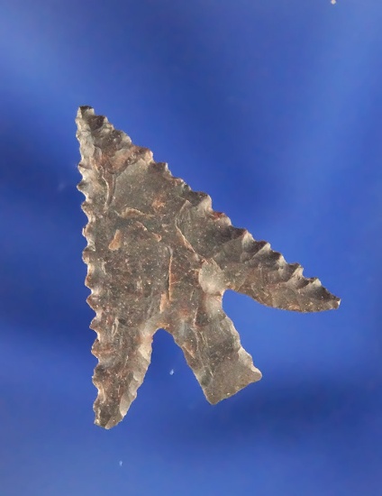 1" Columbia Plateau made from Brown Jasper and found near The Dalles.  Ex. Donald Gillogly.