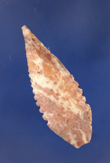 1 7/8" Leaf Point made from attractive material, found near the Columbia River. Ex. Bill Peterson.