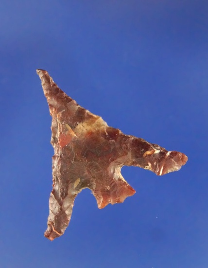 1" Columbia Plateau made from Brown Agate. Found near The Dalles, Columbia River. Ex. Gillogly.