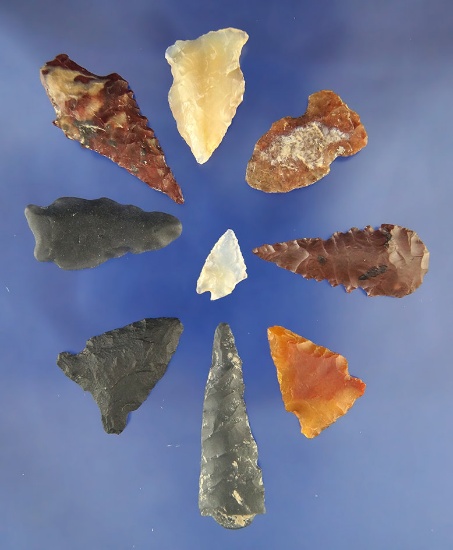 Set of 9 Assorted Arrowheads - largest is 1 11/16", found near the Columbia River. Ex. Bill Peterson