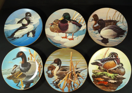 Nature's Heritages collection of six beautiful plates with a different bird on each plate.